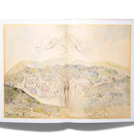 William Blake. Dante’s ‘Divine Comedy’. The Complete Drawings