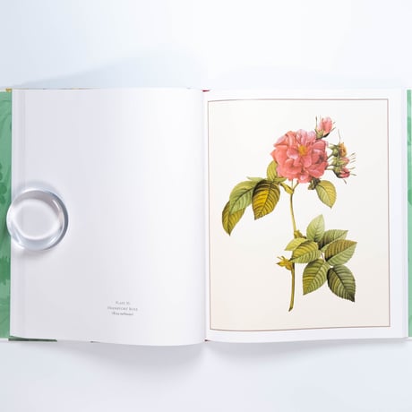 Redouté: Fabulous Flowers