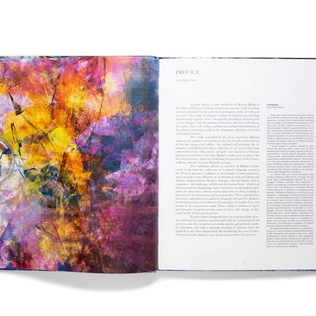 Beverly Barkat: Evocative Surfaces