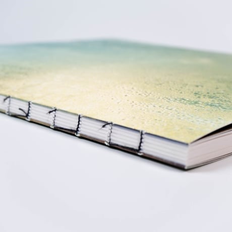 Benedetta Casagrande - All Things Laid Dormant