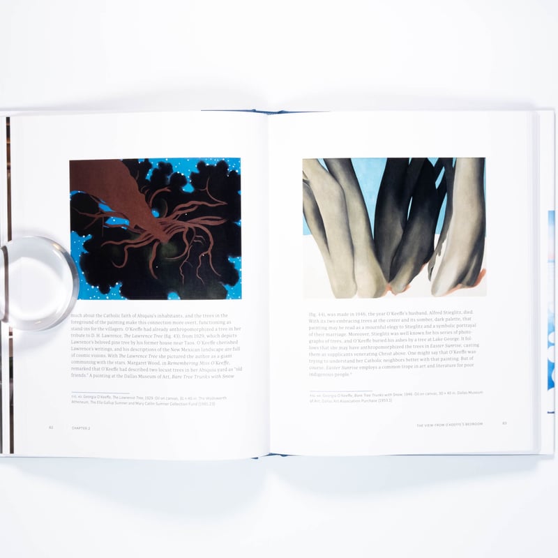 Georgia O'Keeffe: The Late Work | Art Book Isku