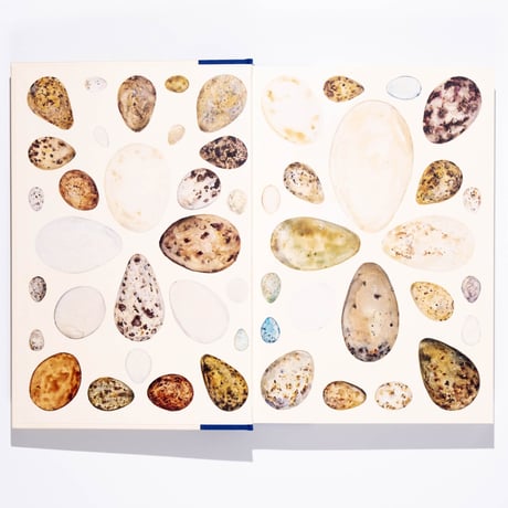 The Book of Birds : A Field Guide to Wonder and Loss