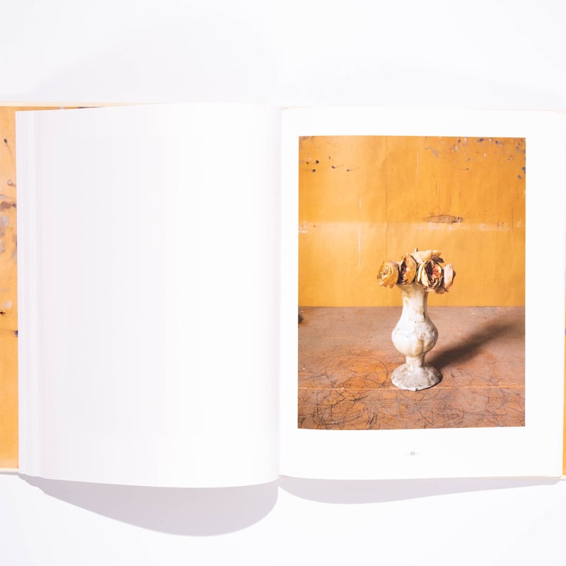 Joel Meyerowitz: Morandi's Objects | Art Book I
