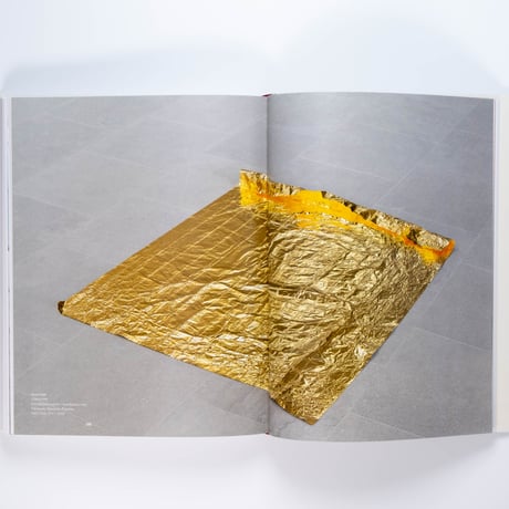 Roni Horn: Give Me Paradox or Give Me Death