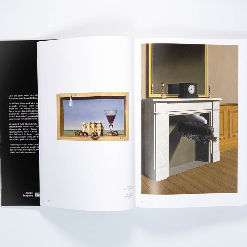 画集 シュールレアリズム SURREALISME DELVAUX 画集 シュールレアリズム SURREALISME DELVAUX - メルカリ