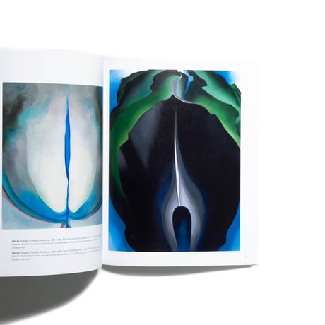 Georgia O’Keeffe: Abstraction Blue