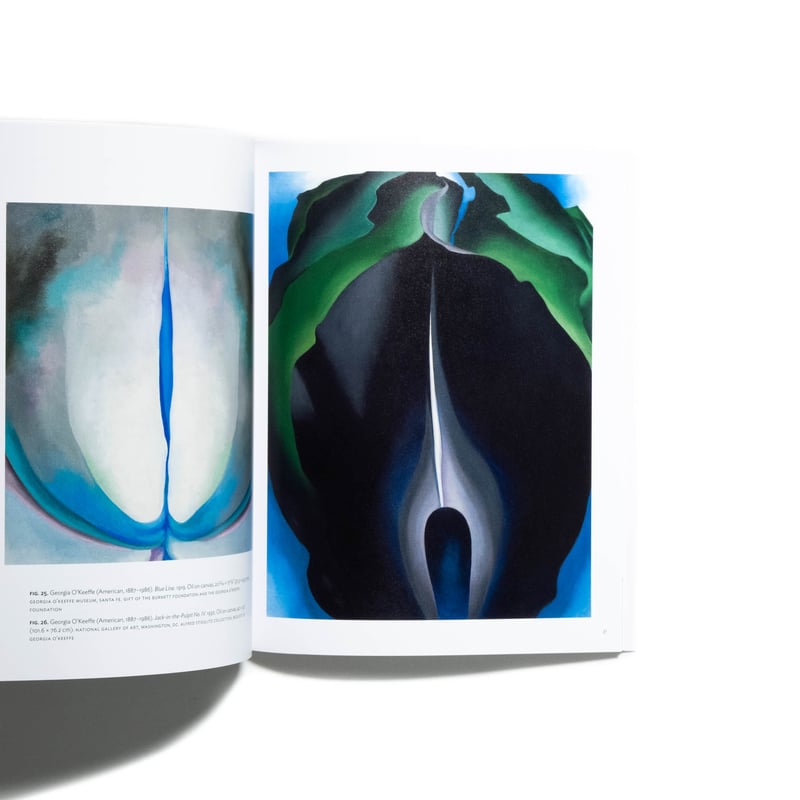 Georgia O'Keeffe: Abstraction Blue | Art Book I