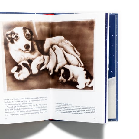 Soviet Space Dogs