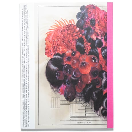 Firelei Báez: Trust Memory over History