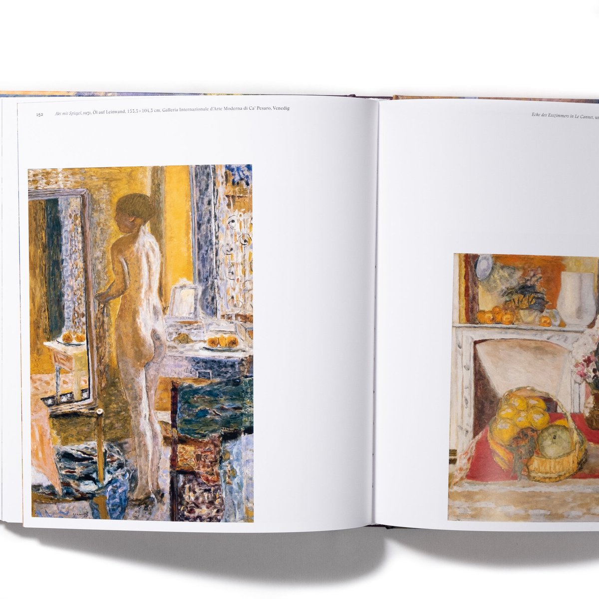 洋書◆ピエール・ボナール画集 作品写真集 本 アントワーヌテラス 洋書◇ピエール・ボナール画集 作品写真集 本 アントワーヌ