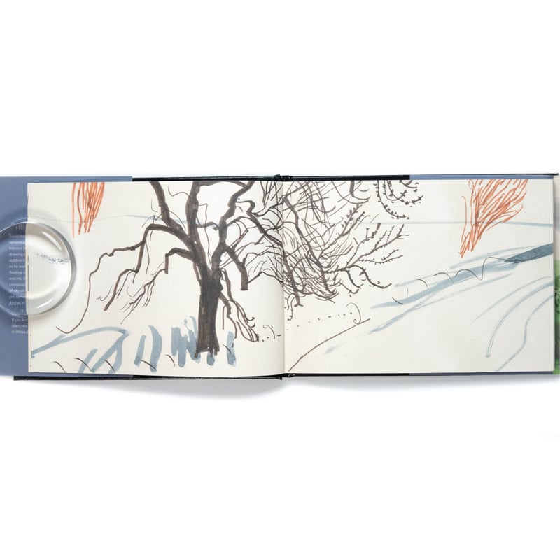 david hockney my yorkshire 画集　作品集 4623713013.jpg