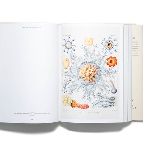 The Art and Science of Ernst Haeckel. 40th Ed.