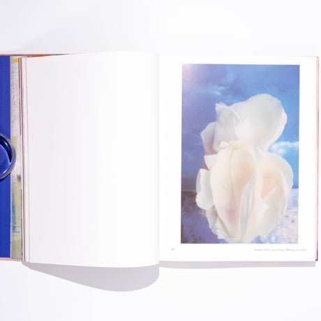 Revelation: A Journey Into Abstraction