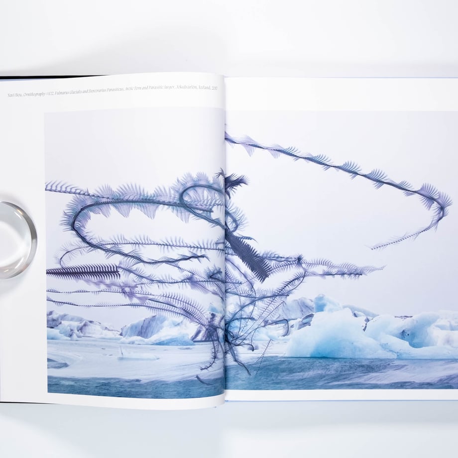 68de5ab6e2dc7a36abb26ca8
