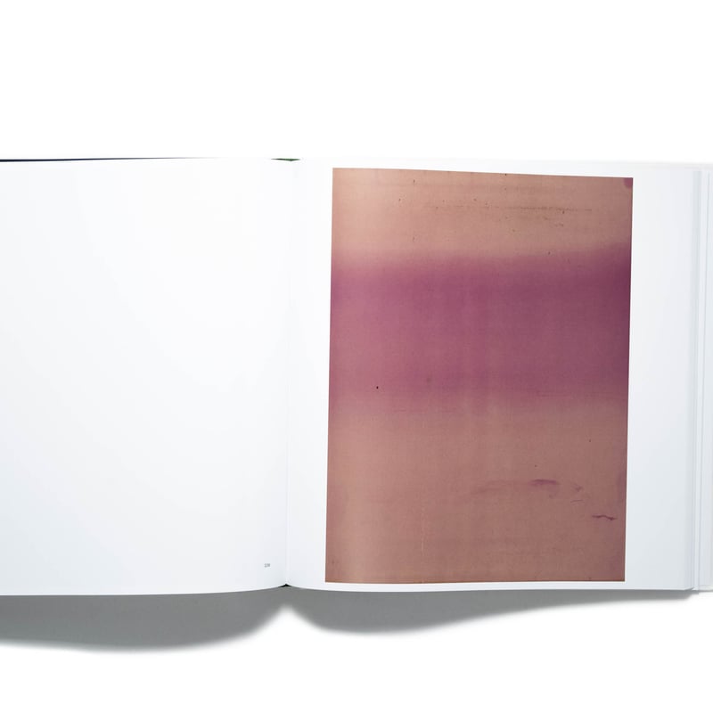 アート・デザイン・音楽 Wolfgang Tillmans / Saturated Light SATURATED LIGHT by Wolfgang Tillmans – twelvebooks