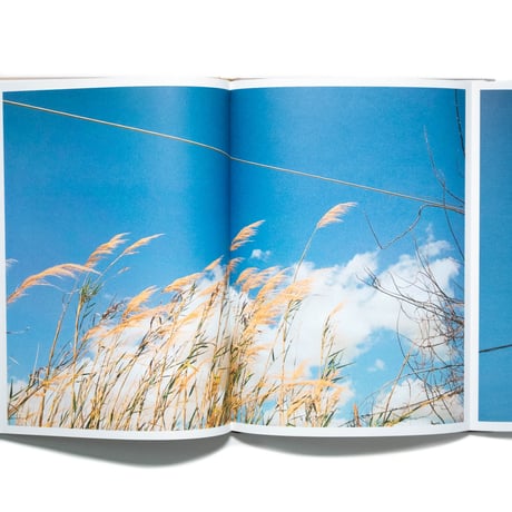 Lena Konstantakou: The extraordinary will take care of itself