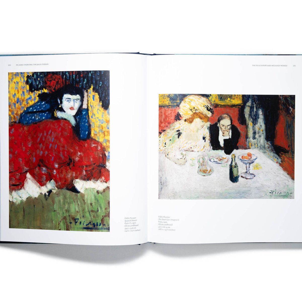 Picasso: Painting the Blue Period | Art Book Is