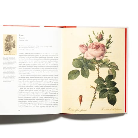 Remarkable Plants
