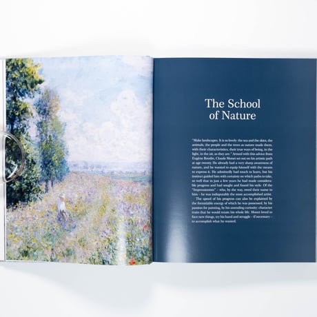 Monet: The Bigger Picture