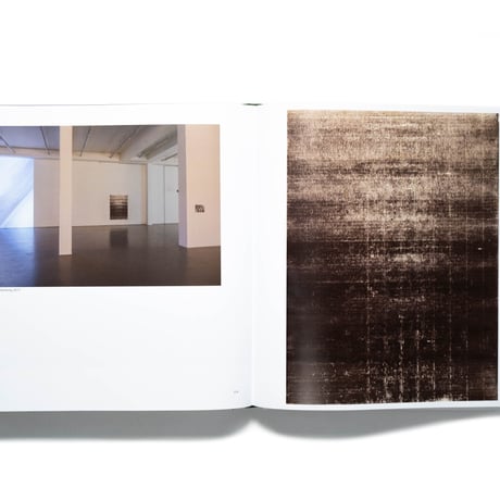 Wolfgang Tillmans. Saturated Light