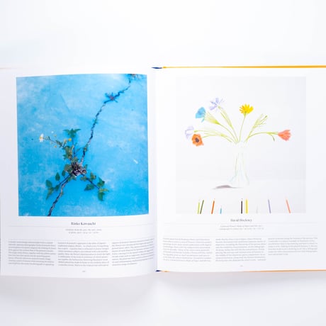 Flower: Exploring the World in Bloom