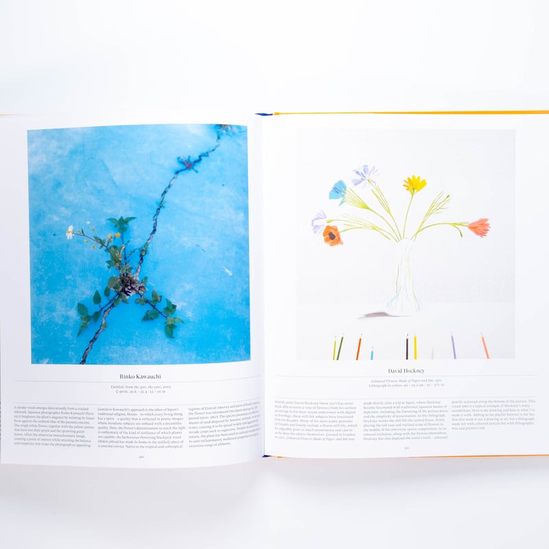 Flower: Exploring the World in Bloom | Art Book