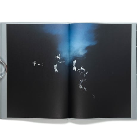 Rogier Maaskant – Sense of Presence