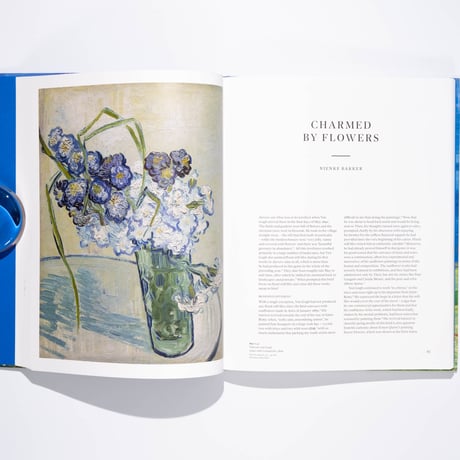 Van Gogh in Auvers-sur-Oise: His Final Months