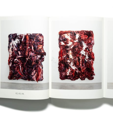 Anish Kapoor: Painting