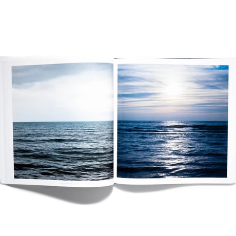 Lucinda Devlin: Lake Pictures