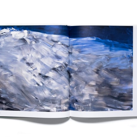 Herbert Brandl: Hamburg Catalogue