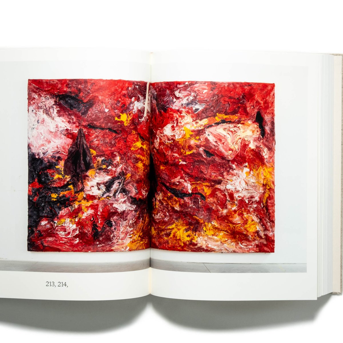 Anish Kapoor: Painting | Art Book Iskusstvo
