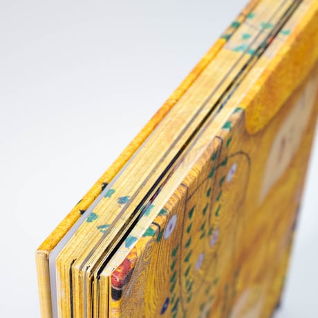 Klimt: The Bigger Picture