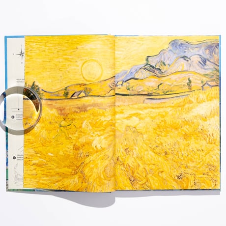 Vincent van Gogh in Saint-Rémy-de-Provence