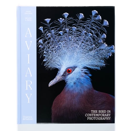 Aviary: The Bird in Contemporary Photography