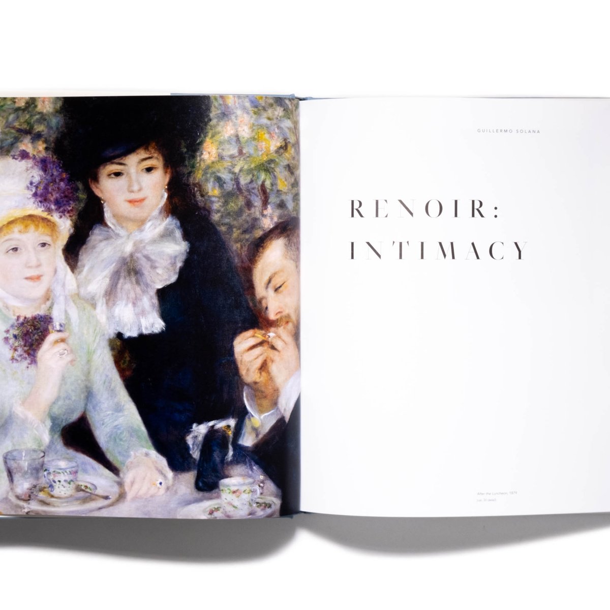 Renoir: Intimacy | Art Book Iskusstvo