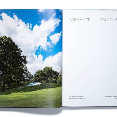Sarah Sze: Fallen Sky