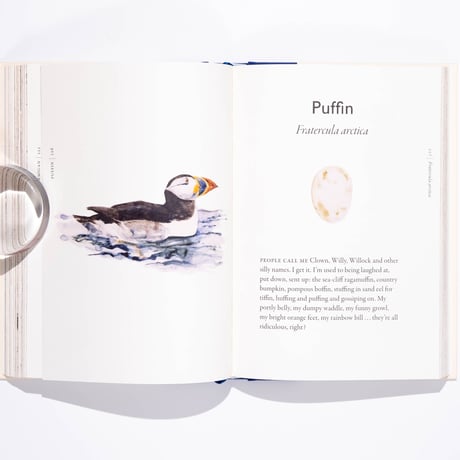 The Book of Birds : A Field Guide to Wonder and Loss
