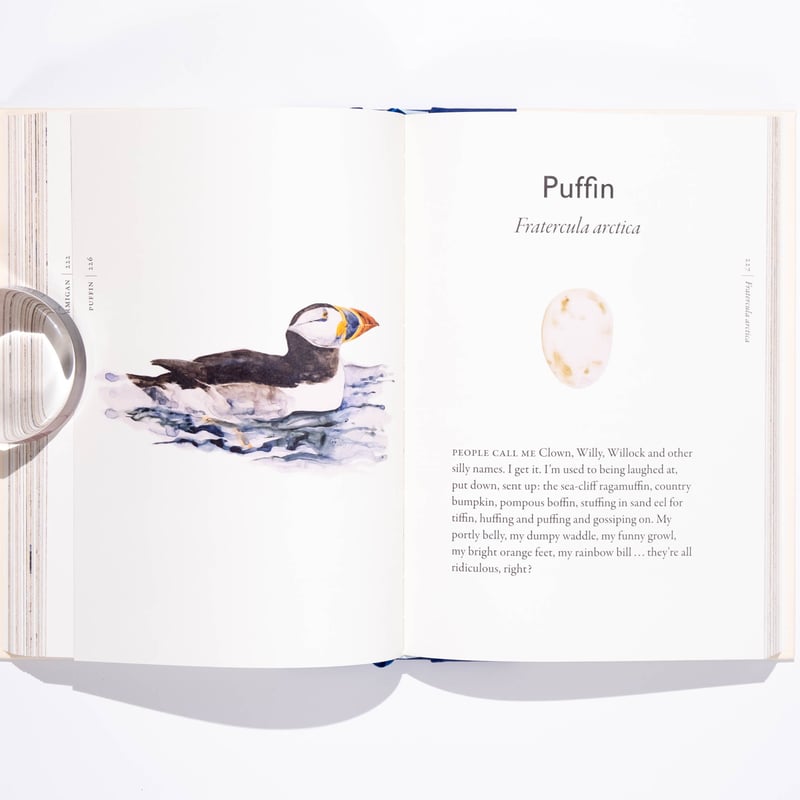 Lansdowne's Birds of the Forest 鳥の図鑑 洋書 Lansdowne's Birds of