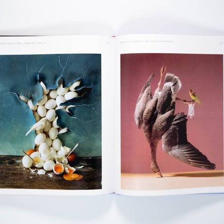 Aviary: The Bird in Contemporary Photography
