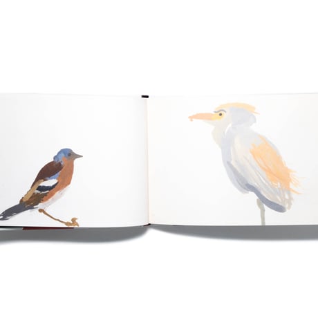A Book of Birds by Humphrey Ocean