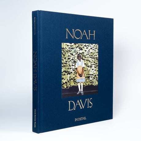 Noah Davis: In Detail