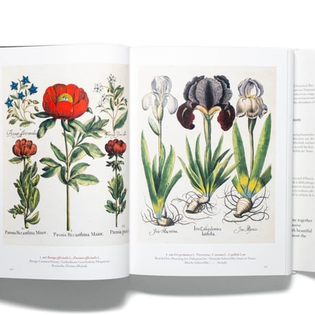 A Garden Eden. Masterpieces of Botanical Illustration. 40th Ed.