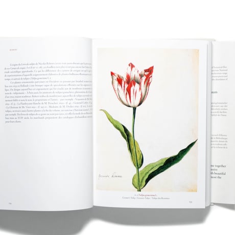 A Garden Eden. Masterpieces of Botanical Illustration. 40th Ed.