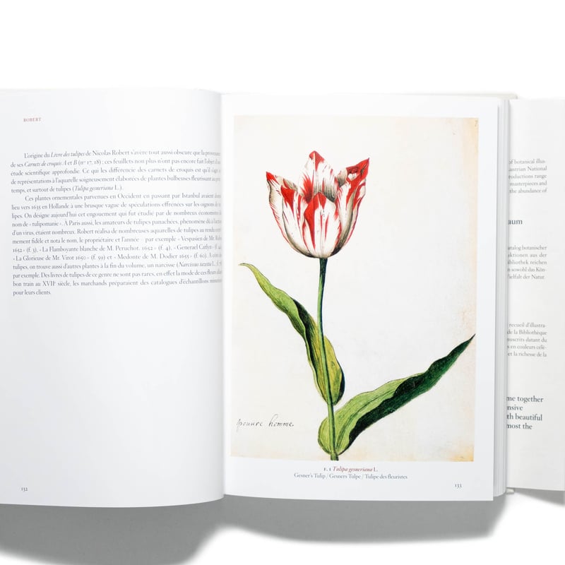A Garden Eden. Masterpieces of Botanical Illust
