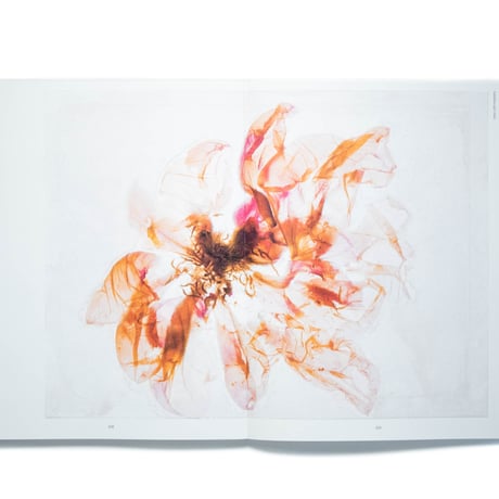 Brigitte Lustenberger: An Apparition of Memory