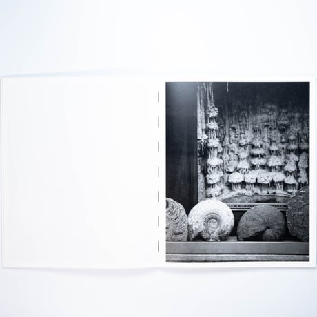Benedetta Casagrande - All Things Laid Dormant