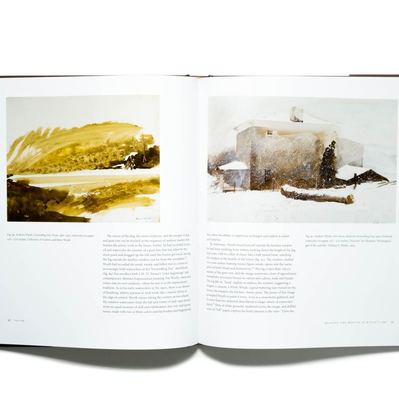 Andrew Wyeth: Memory and Magic | Art Book Iskus