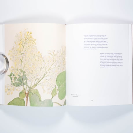 Hilma af Klint: What Stands Behind the Flowers