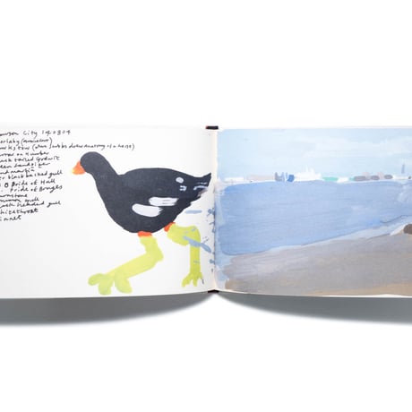 A Book of Birds by Humphrey Ocean